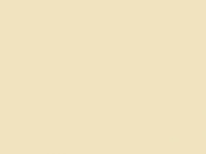 Stahls® CAD-CUT® SportsFilm beige 004