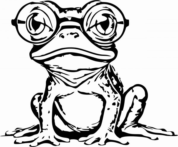 Herr Froschmann - Der hippe Hüpfer – Bild 2