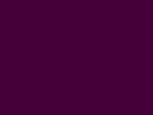 SEF RocketCut burgundy